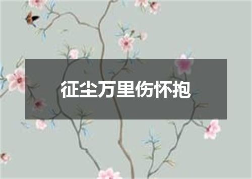 征尘万里伤怀抱