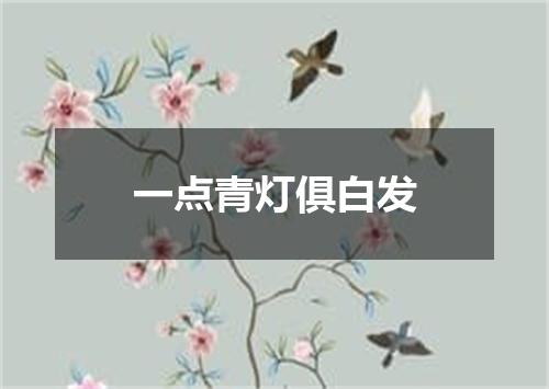 一点青灯俱白发