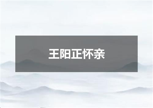 王阳正怀亲