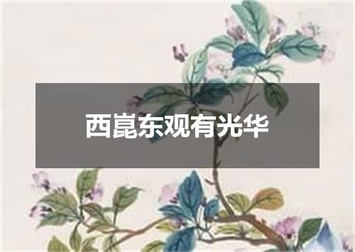 西崑东观有光华