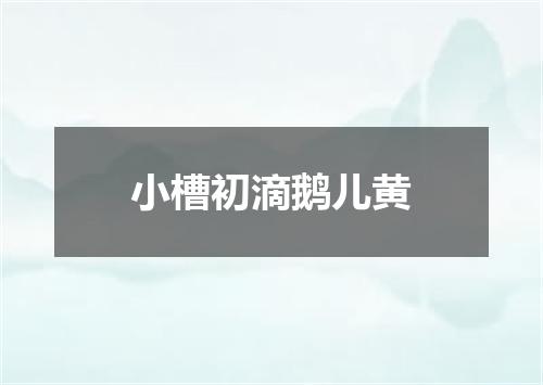 小槽初滴鹅儿黄