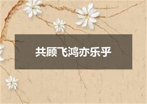 共顾飞鸿亦乐乎