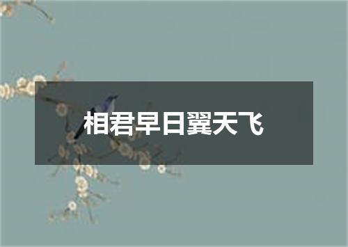 相君早日翼天飞
