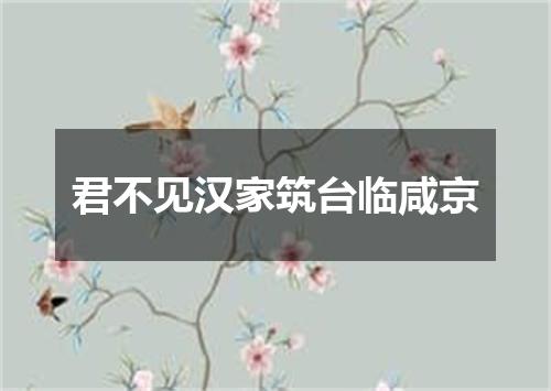 君不见汉家筑台临咸京