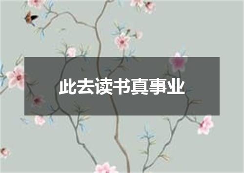 此去读书真事业