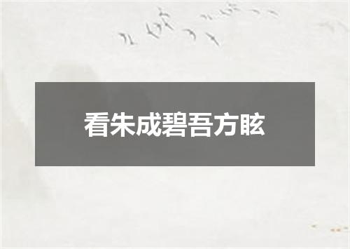 看朱成碧吾方眩