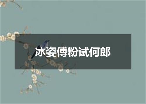 冰姿傅粉试何郎