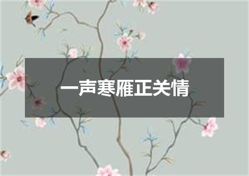 一声寒雁正关情