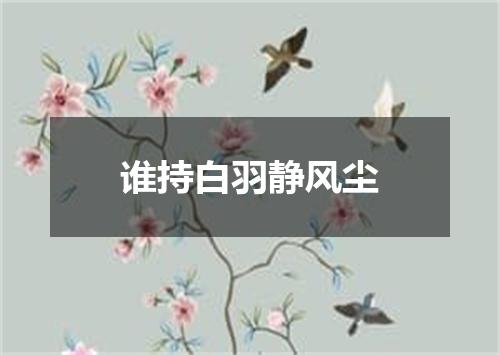 谁持白羽静风尘
