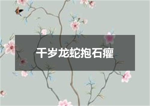千岁龙蛇抱石癯