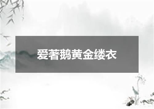 爱著鹅黄金缕衣