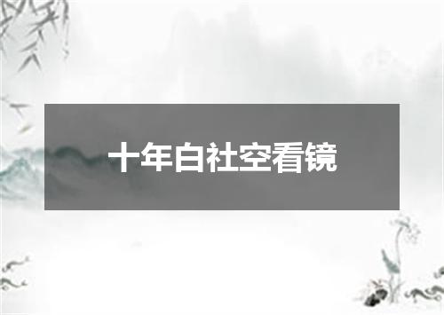 十年白社空看镜