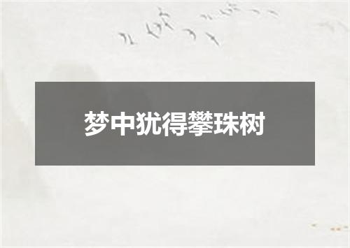 梦中犹得攀珠树