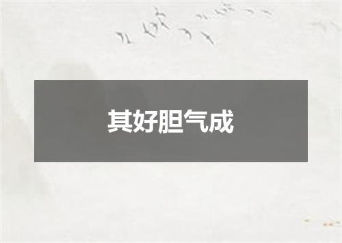 其好胆气成
