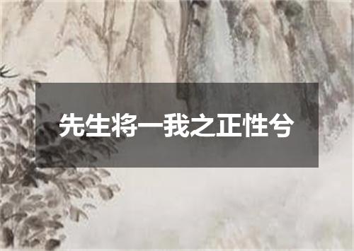 先生将一我之正性兮