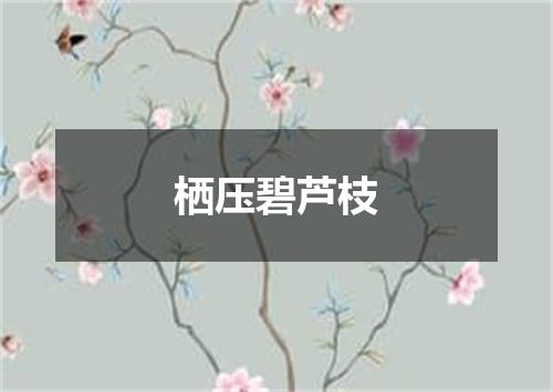 栖压碧芦枝