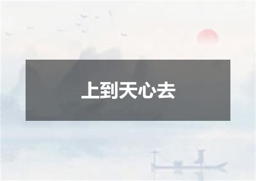 上到天心去