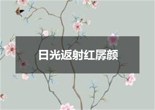 日光返射红孱颜