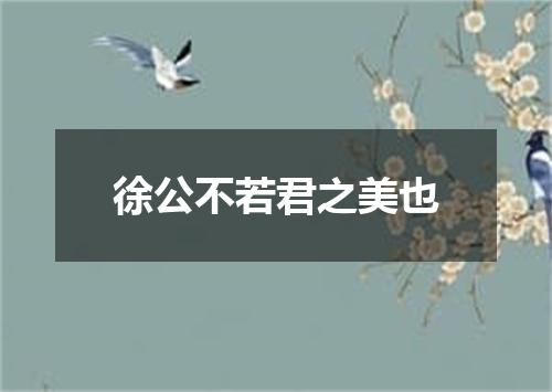 徐公不若君之美也