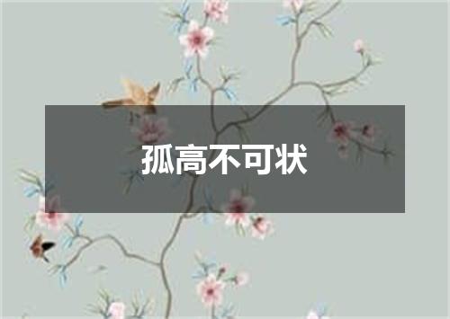 孤高不可状