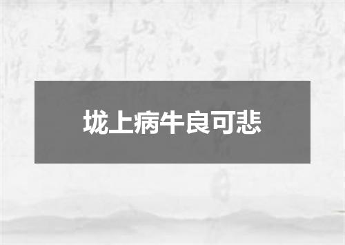 垅上病牛良可悲