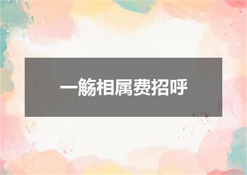 一觞相属费招呼