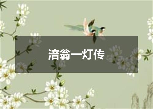 涪翁一灯传
