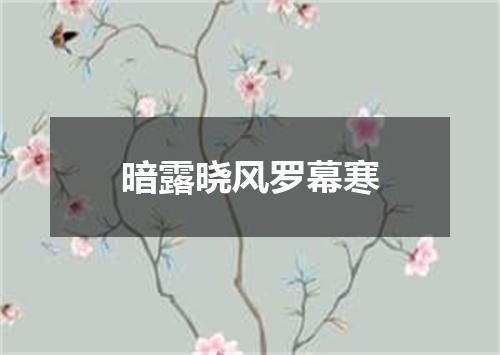 暗露晓风罗幕寒