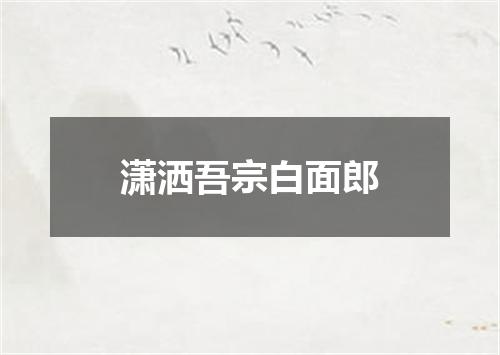 潇洒吾宗白面郎