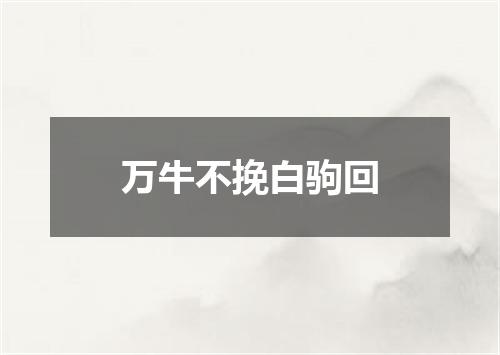 万牛不挽白驹回