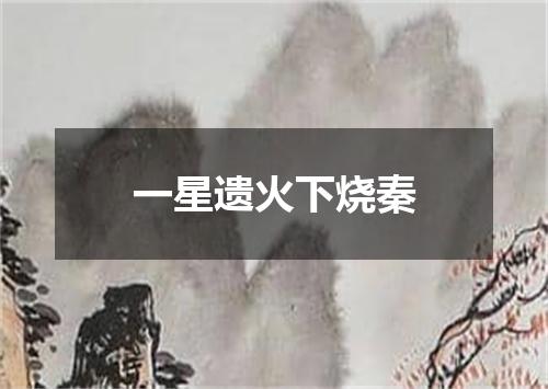 一星遗火下烧秦