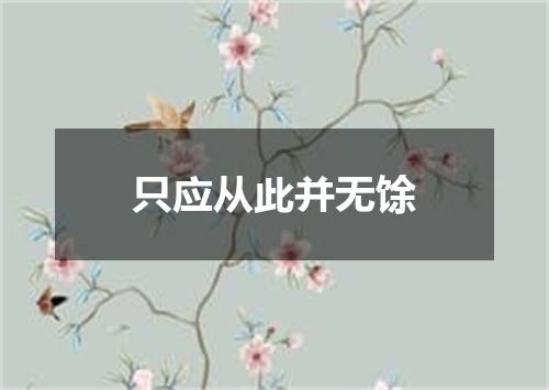 只应从此并无馀
