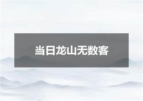 当日龙山无数客