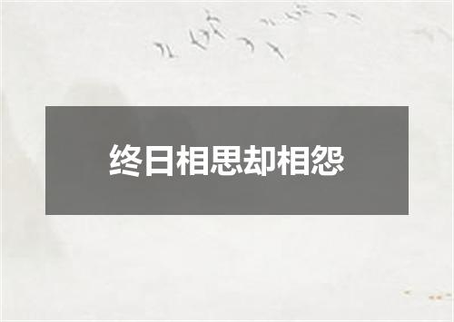 终日相思却相怨