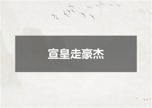 宣皇走豪杰