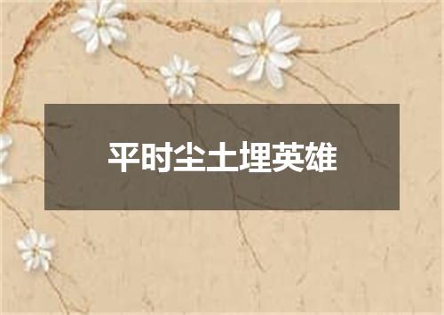 平时尘土埋英雄