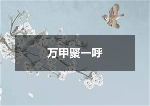 万甲聚一呼