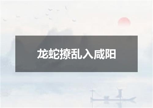 龙蛇撩乱入咸阳