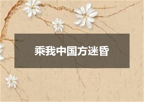 乘我中国方迷昏
