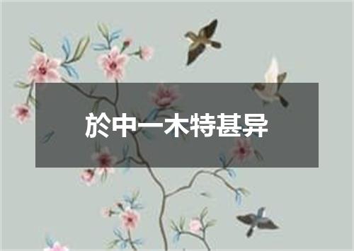於中一木特甚异