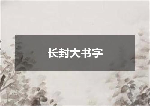 长封大书字
