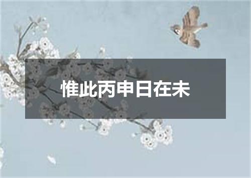 惟此丙申日在未
