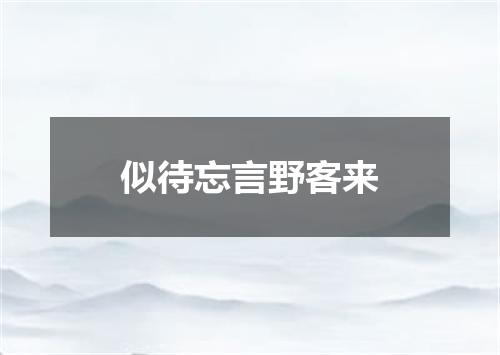 似待忘言野客来