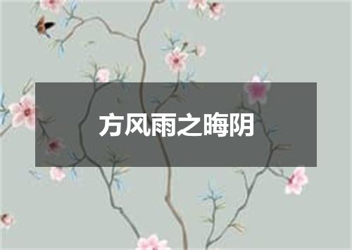 方风雨之晦阴
