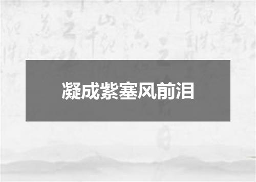 凝成紫塞风前泪