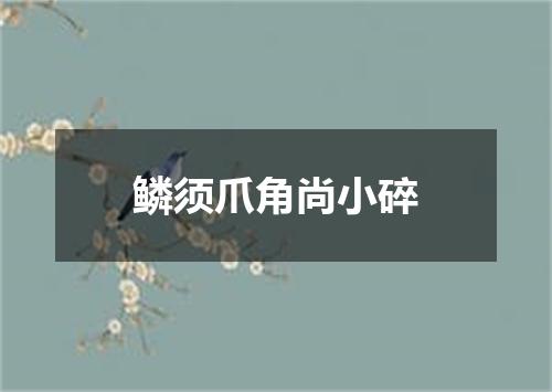 鳞须爪角尚小碎