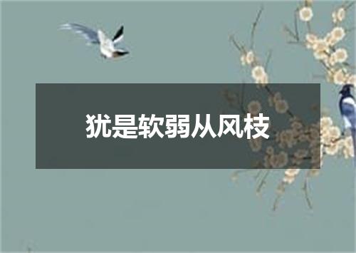 犹是软弱从风枝