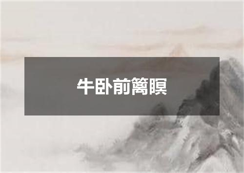 牛卧前篱瞑