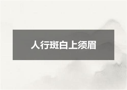 人行斑白上须眉