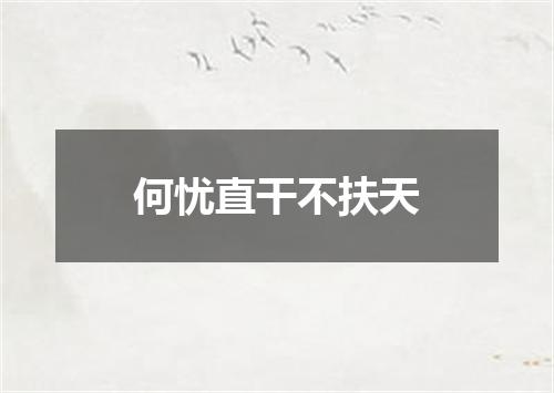 何忧直干不扶天